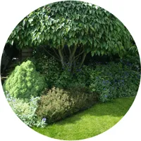 jardins paysagers
