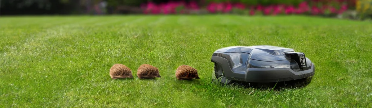 L'avenir est dans notre nature